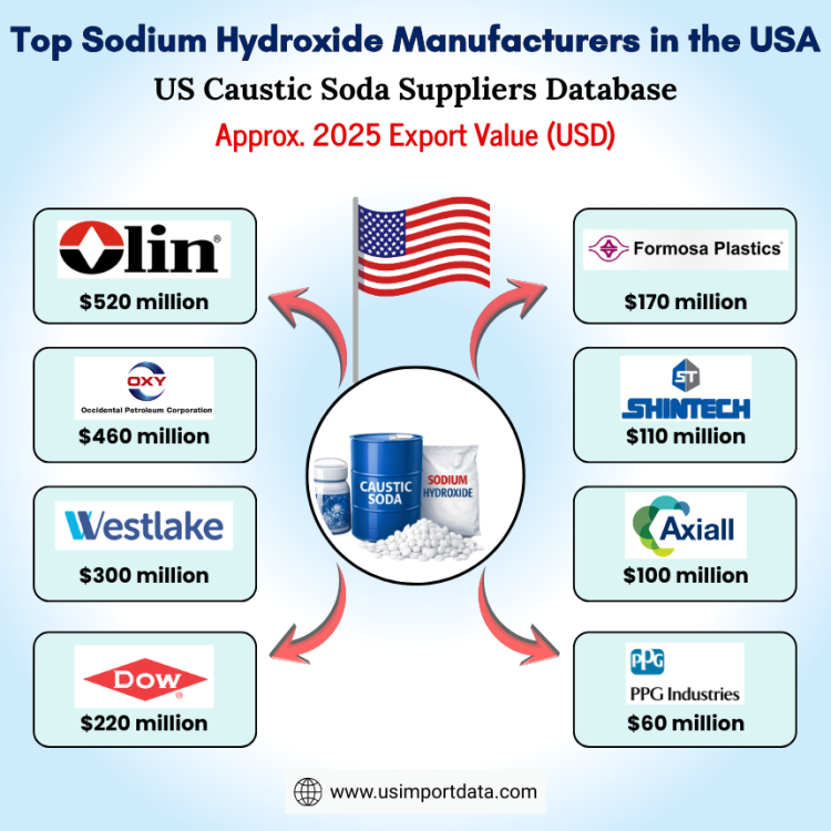 Top Sodium Hydroxide Manufacturers in the USA