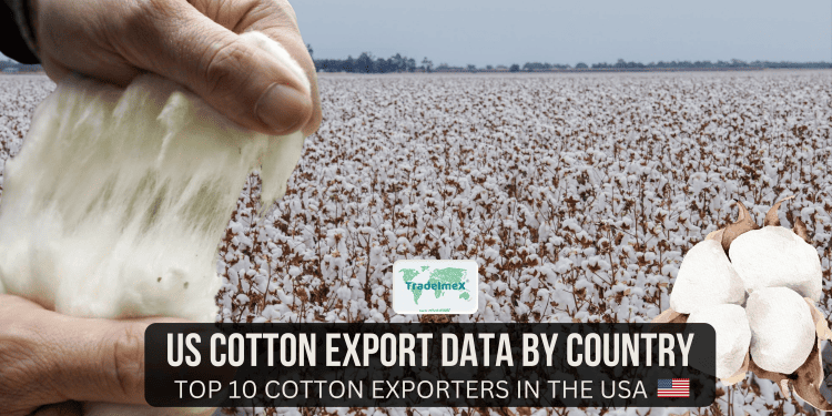 Top Cotton Exporters & Suppliers in USA | US Cotton Exports by Country