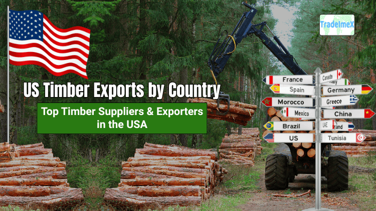 US Timber Exports by Country: Top Timber Suppliers & Exporters in the USA