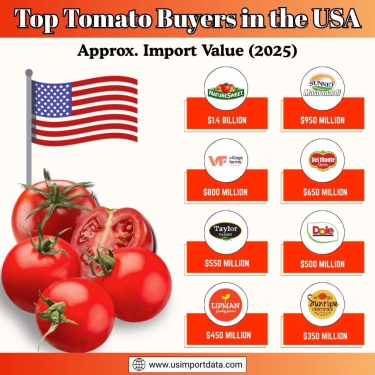 Tomato buyers and importers in usa