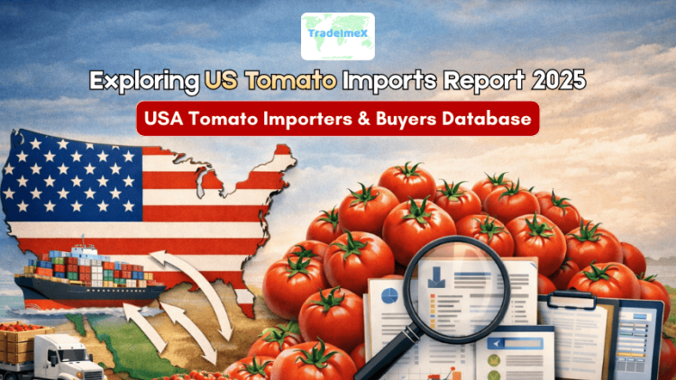 Exploring US Tomato Imports Report 2025: USA Tomato Importers & Buyers Database