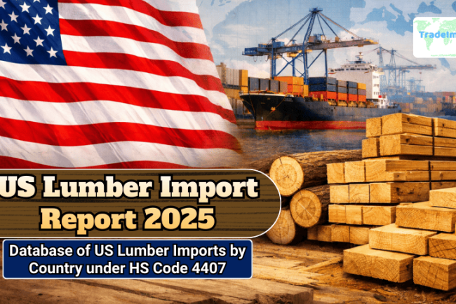 US Lumber Import Report 2025: Database of US Lumber Imports by Country under HS Code 4407