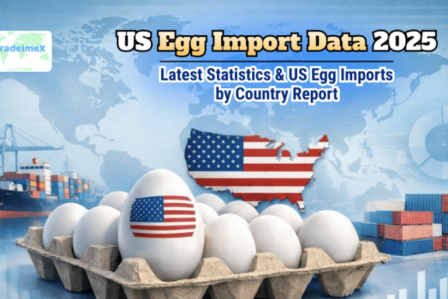 US Egg Import Data 2025: Latest Statistics & US Egg Imports by Country Report