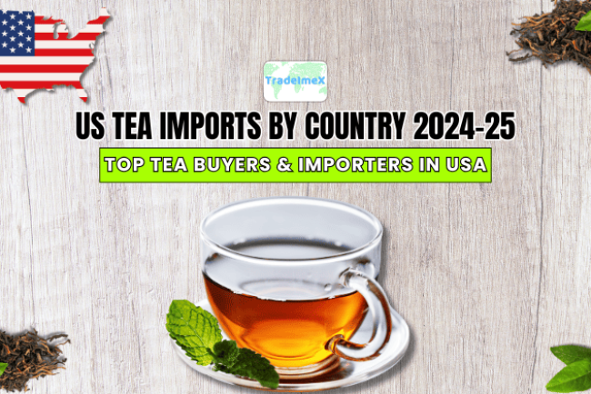 US Tea Imports by Country 2024-25: Top Tea Buyers & Importers in USA