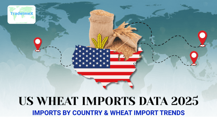 US Wheat Imports Data 2025: Imports by Country & Wheat Import Trends