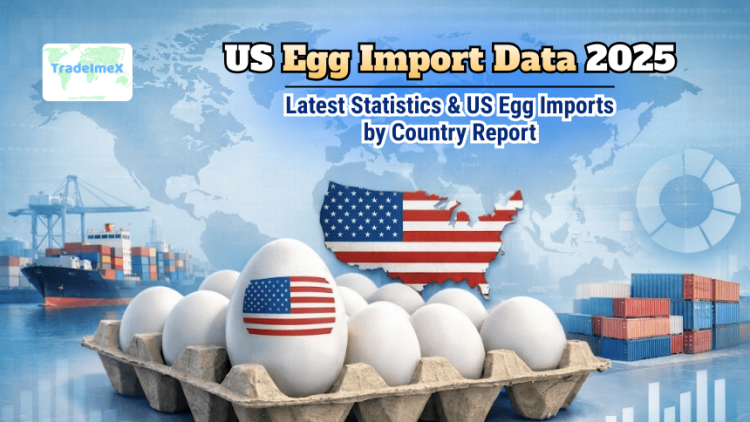US Egg Import Data 2025: Latest Statistics & US Egg Imports by Country Report