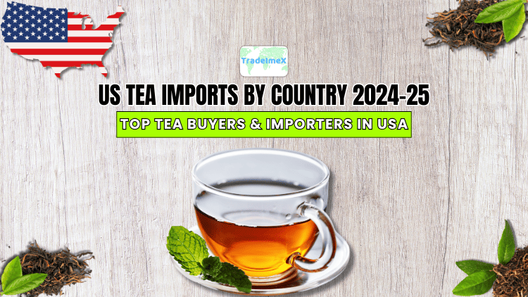 US Tea Imports by Country 2024-25: Top Tea Buyers & Importers in USA