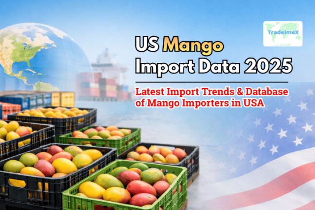 US Mango Import Data 2025: Latest Import Trends & Database of Mango Importers in USA