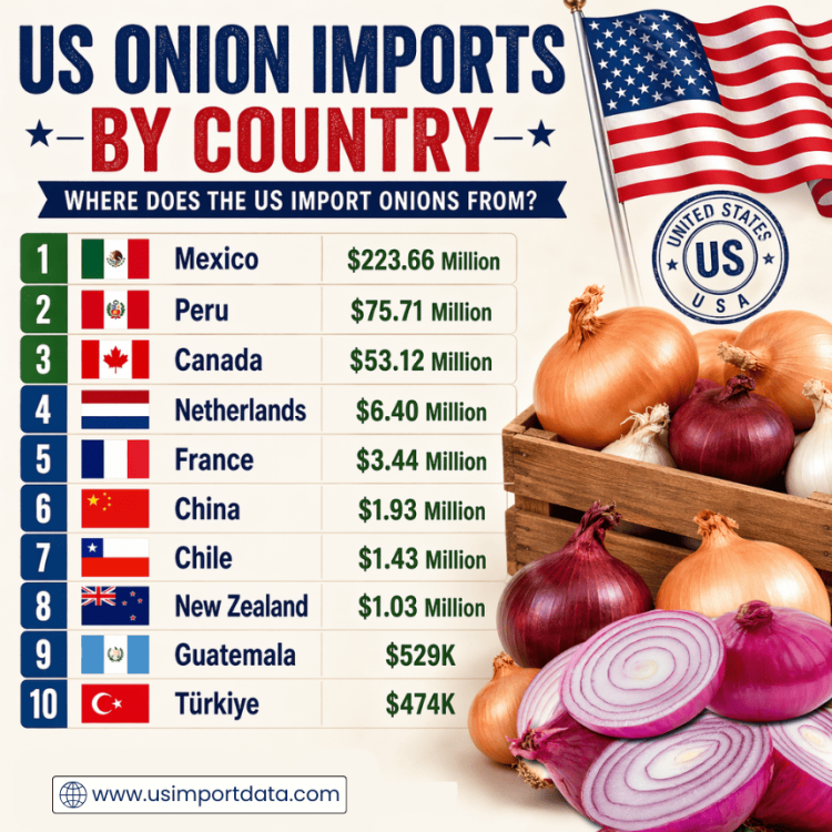 US Onion Imports by Country: Where Does the US Import Onions From?