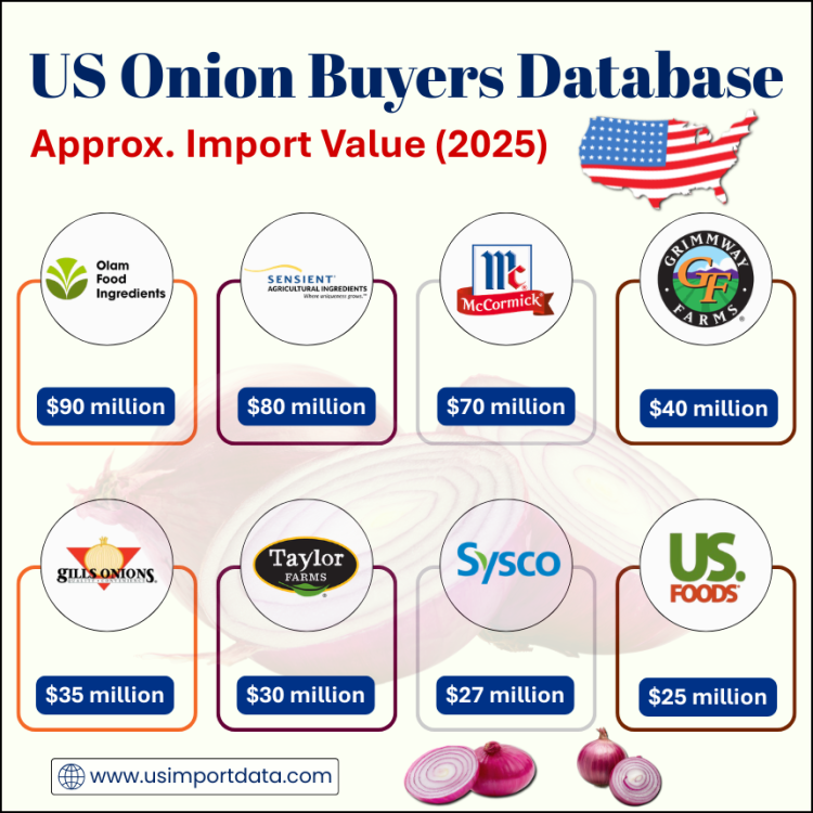 US Onion Buyers Database: Top Onion Importers in the USA
